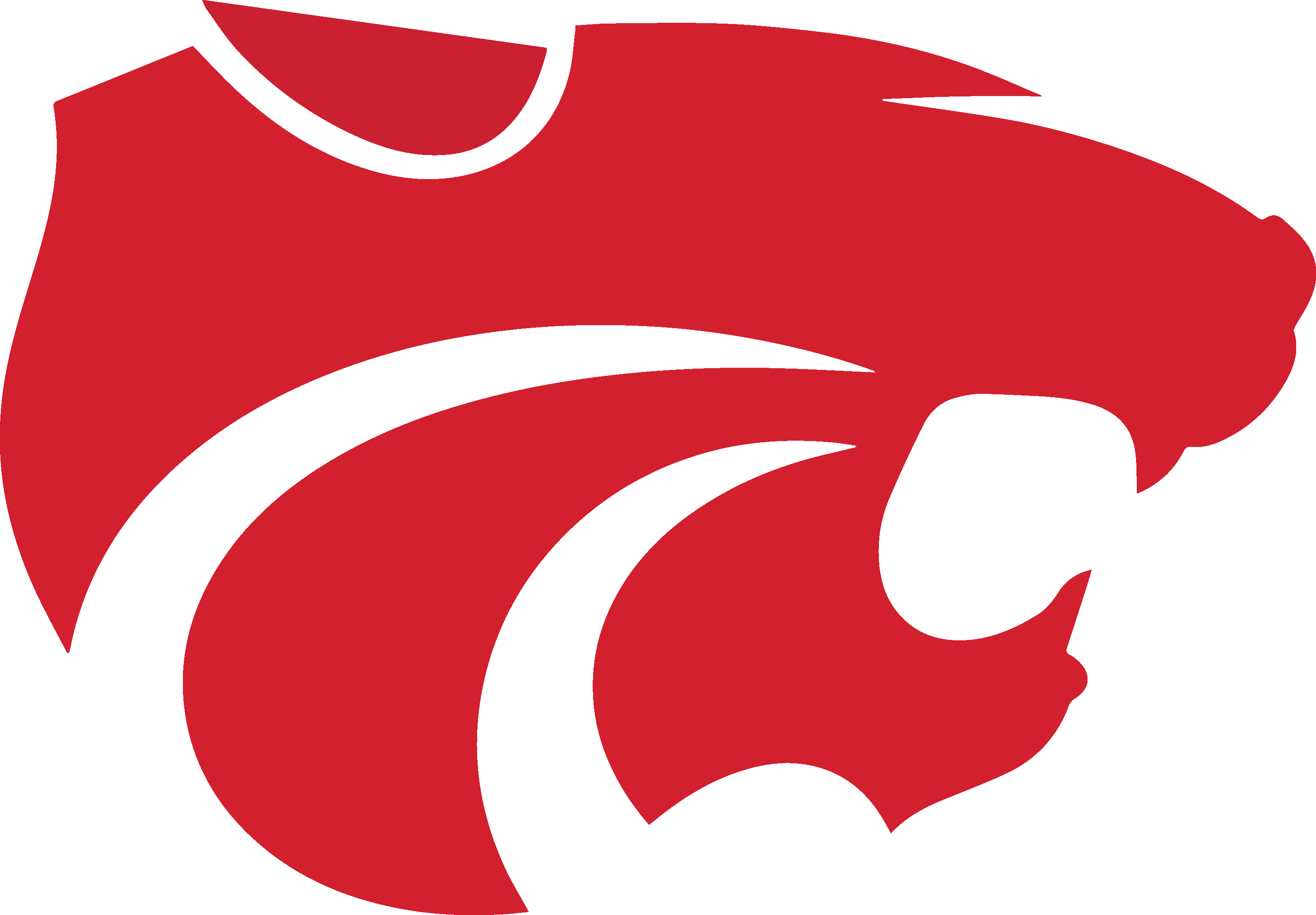 Wildcat company logo